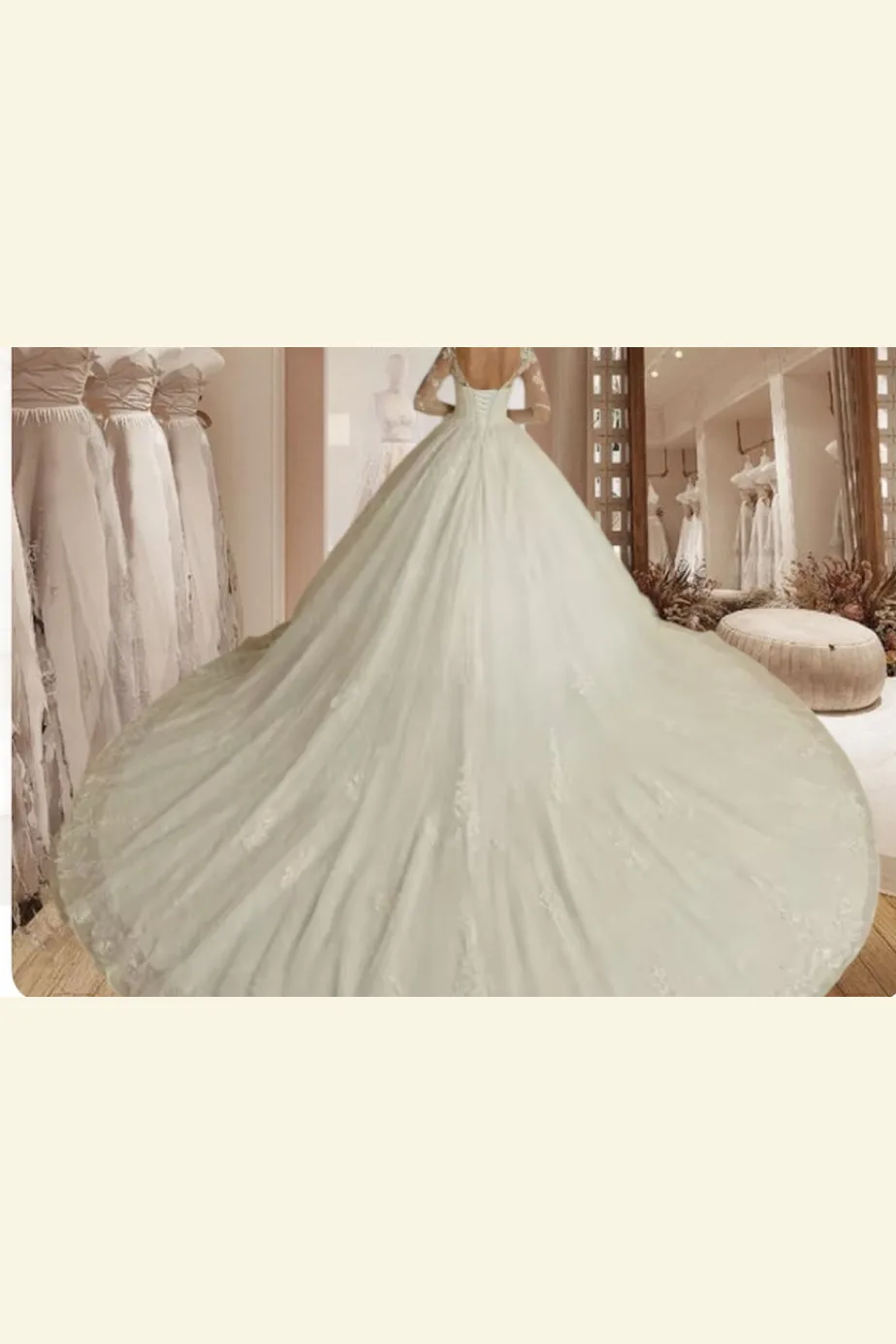 Vestidos de novia corte, princesa, con mangas, vista 2