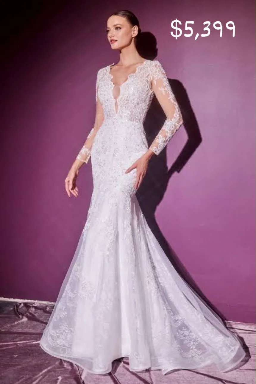 VESTIDO DE NOVIA TRANSPARENCIA EN MANGAS CORTE SIRENA