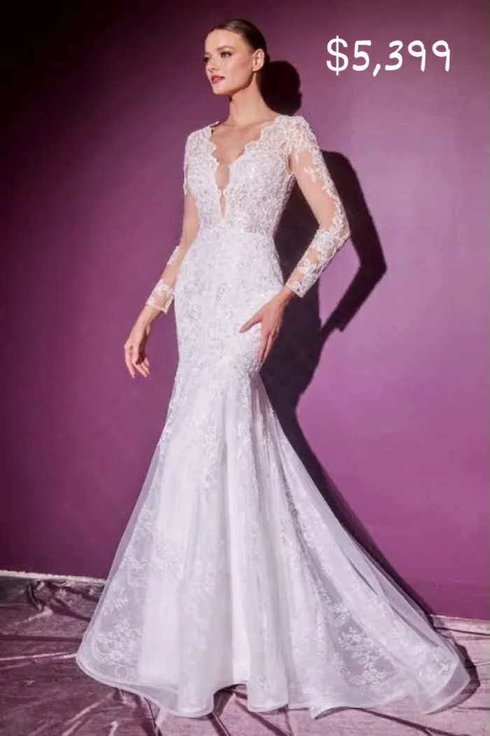VESTIDO DE NOVIA TRANSPARENCIA EN MANGAS CORTE SIRENA