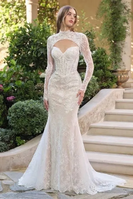 Vestido de novia blanco Ivory WL071 de encaje
